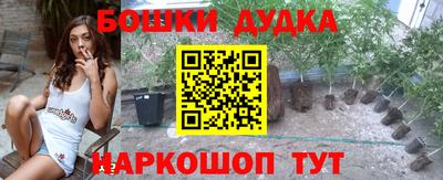 дмт Нальчик