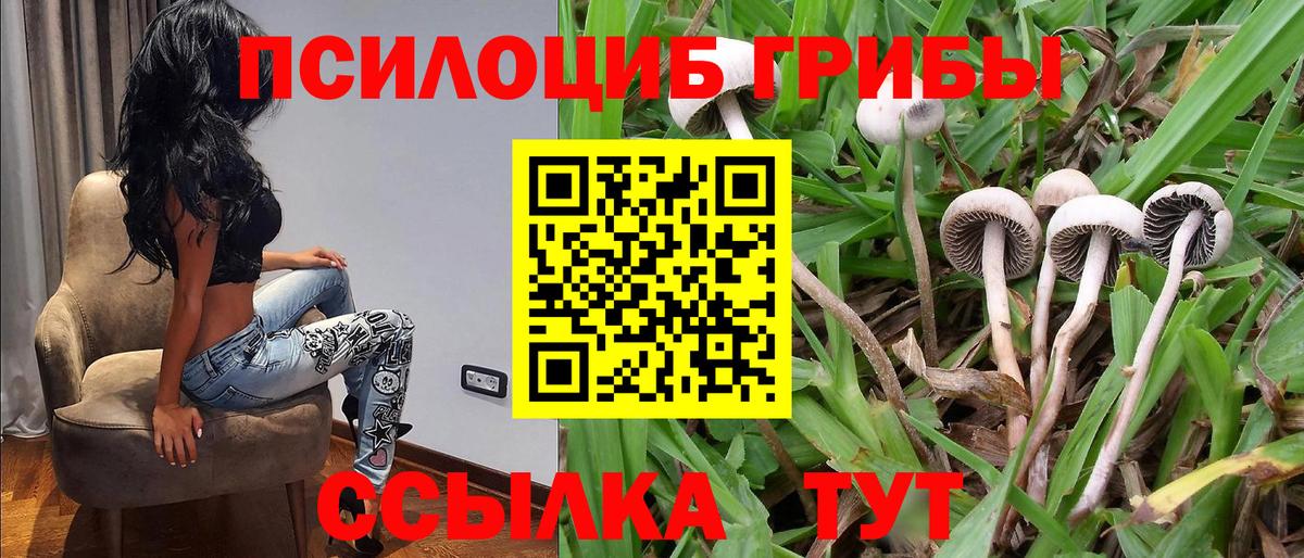 Туапсе  Галлюциногенные грибы ЛСД  продажа наркотиков  Вход с VPN 
